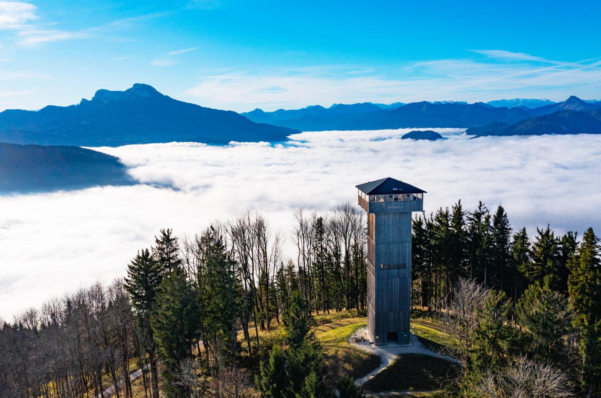 Im Mondseeland Innerschwand Εξωτερικό φωτογραφία